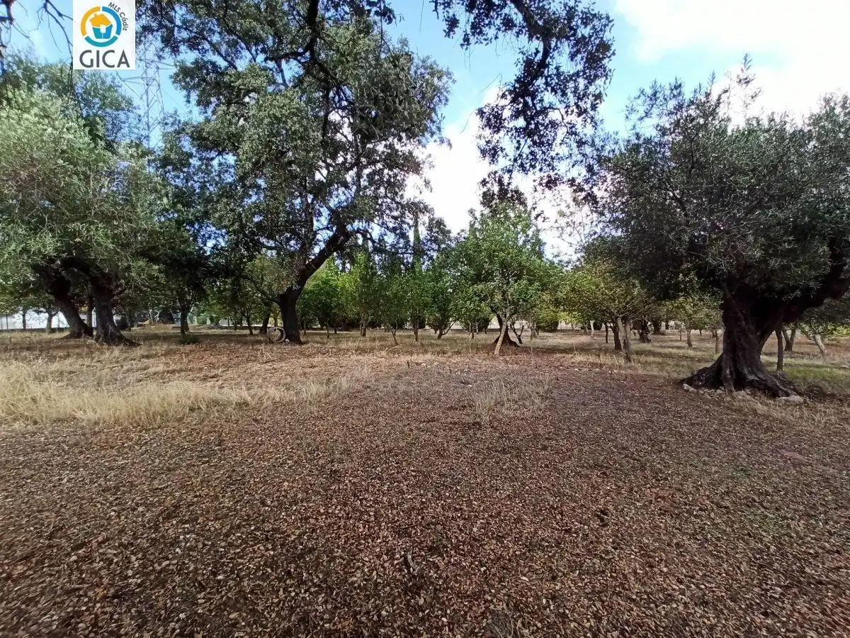 Casa rústica en venda a El Bosque, imagen 41