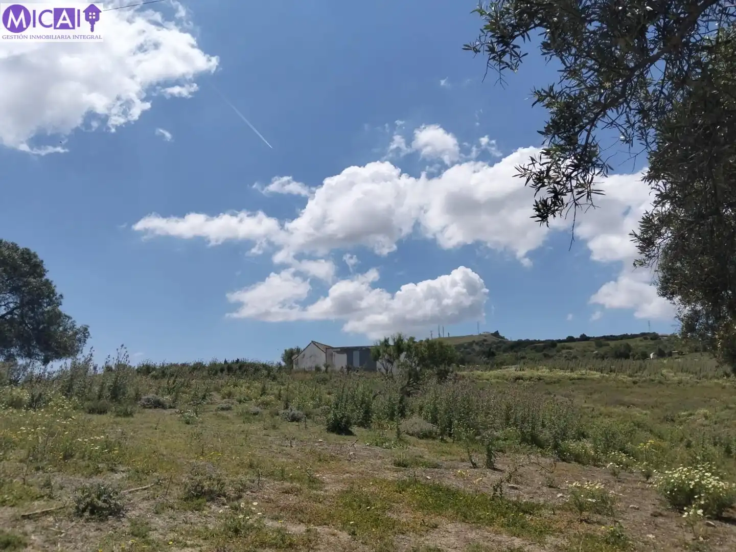 Terreny rústic en venda a Medina Sidonia, imagen 6