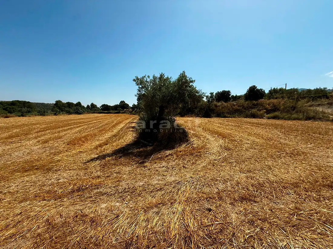 Finca rústica en venta en Bocairent con Piscina