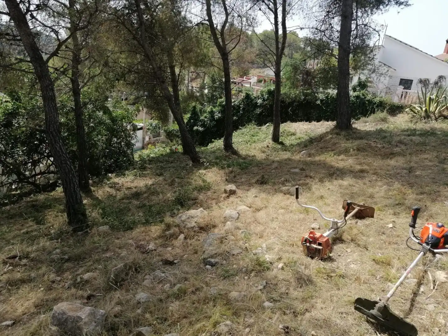 Lands and plots for sale in Canyelles, imagen 5