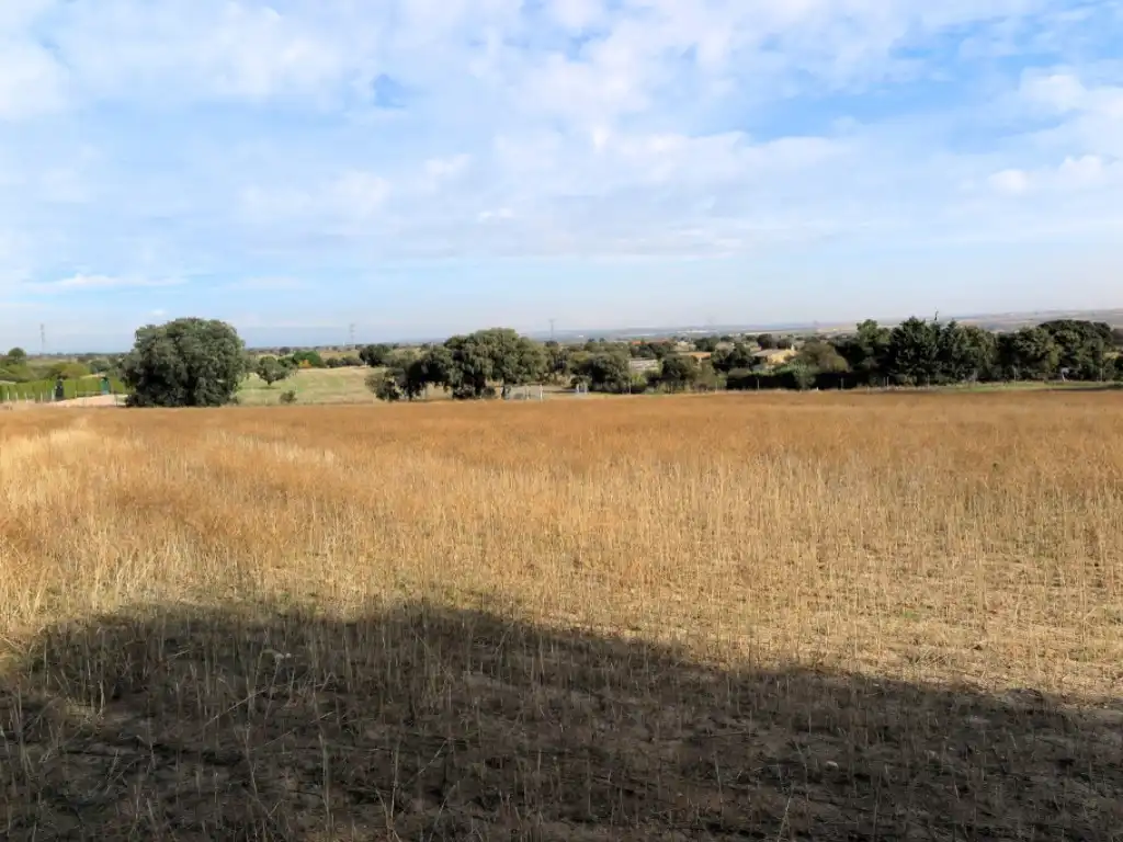 Casa o chalet en venta en Diseminados Camino Casa Roque, 294, La Dehesa - El Pinar