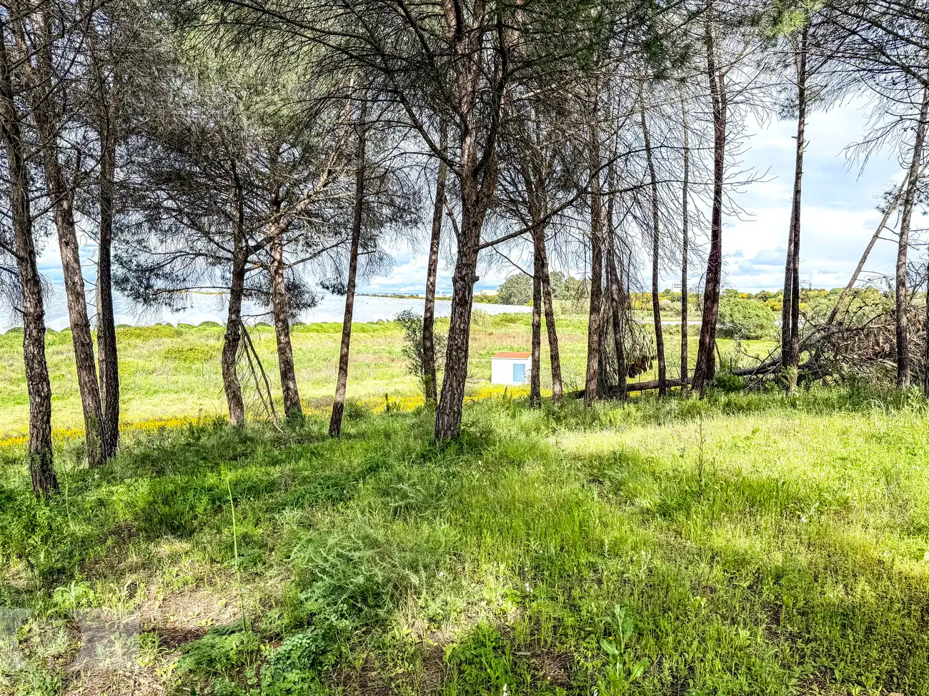 Finca rústica en venda en Lepe