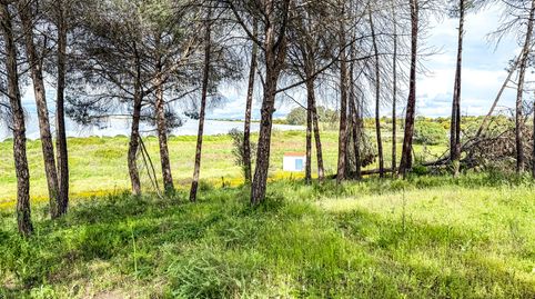 Foto 3 de Finca rústica en venta en Plaza Casablanca, Lepe, Huelva