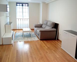 Living room of Study to rent in Ourense Capital 