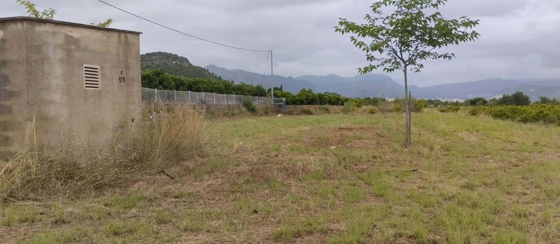 Rural land for sale in Pego, imagen 9
