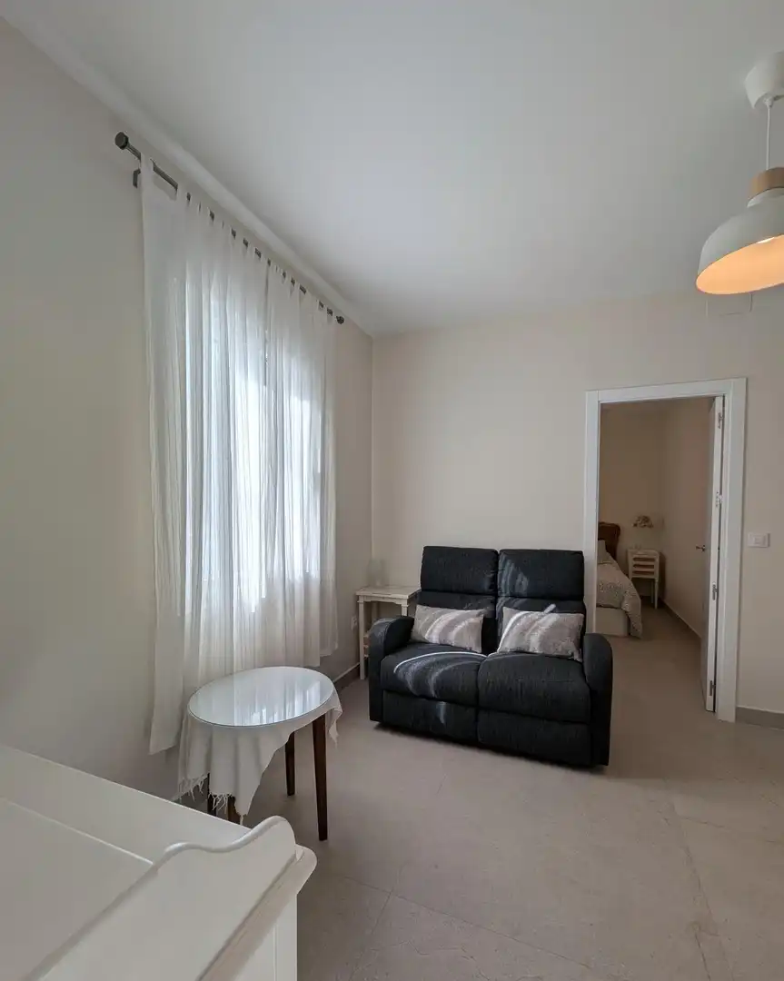 Sala d'estar de Apartament de lloguer en Sevilla amb Aire condicionat i Moblat