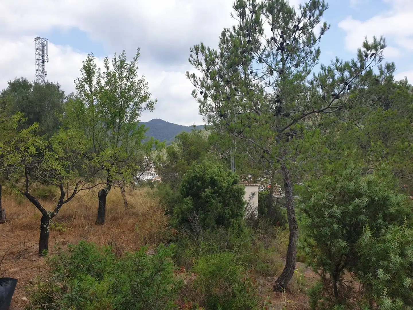 Finca rústica en venda en Alcudia de Veo amb Terrassa