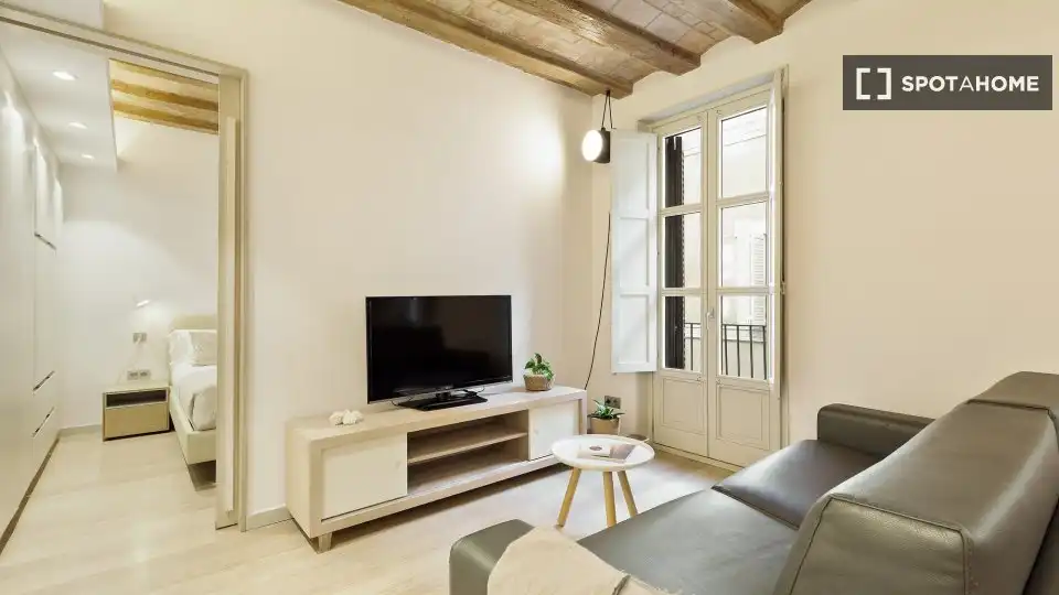 Flat with terrace to rent in Ciutat Vella, imagen 6