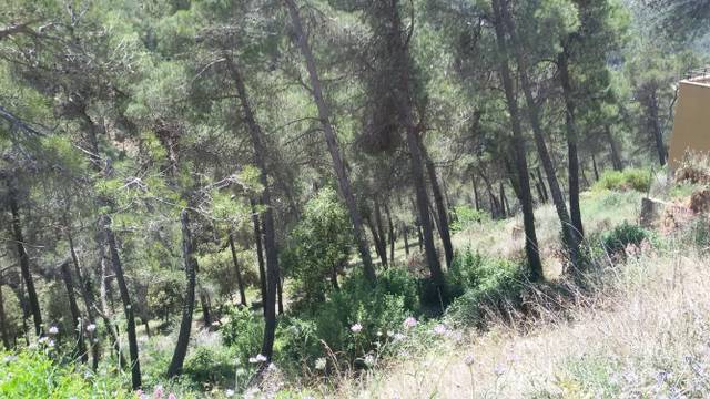 Terreno residencial en Venta en Airesol