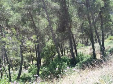 Terreno residenziale in vendita a Airesol