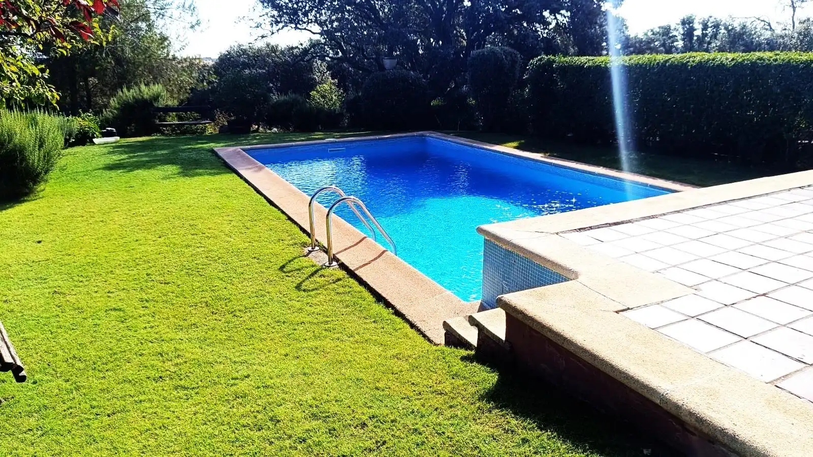 Piscina de Casa o xalet en venda en Palacios del Pan amb Calefacció, Jardí privat i Terrassa