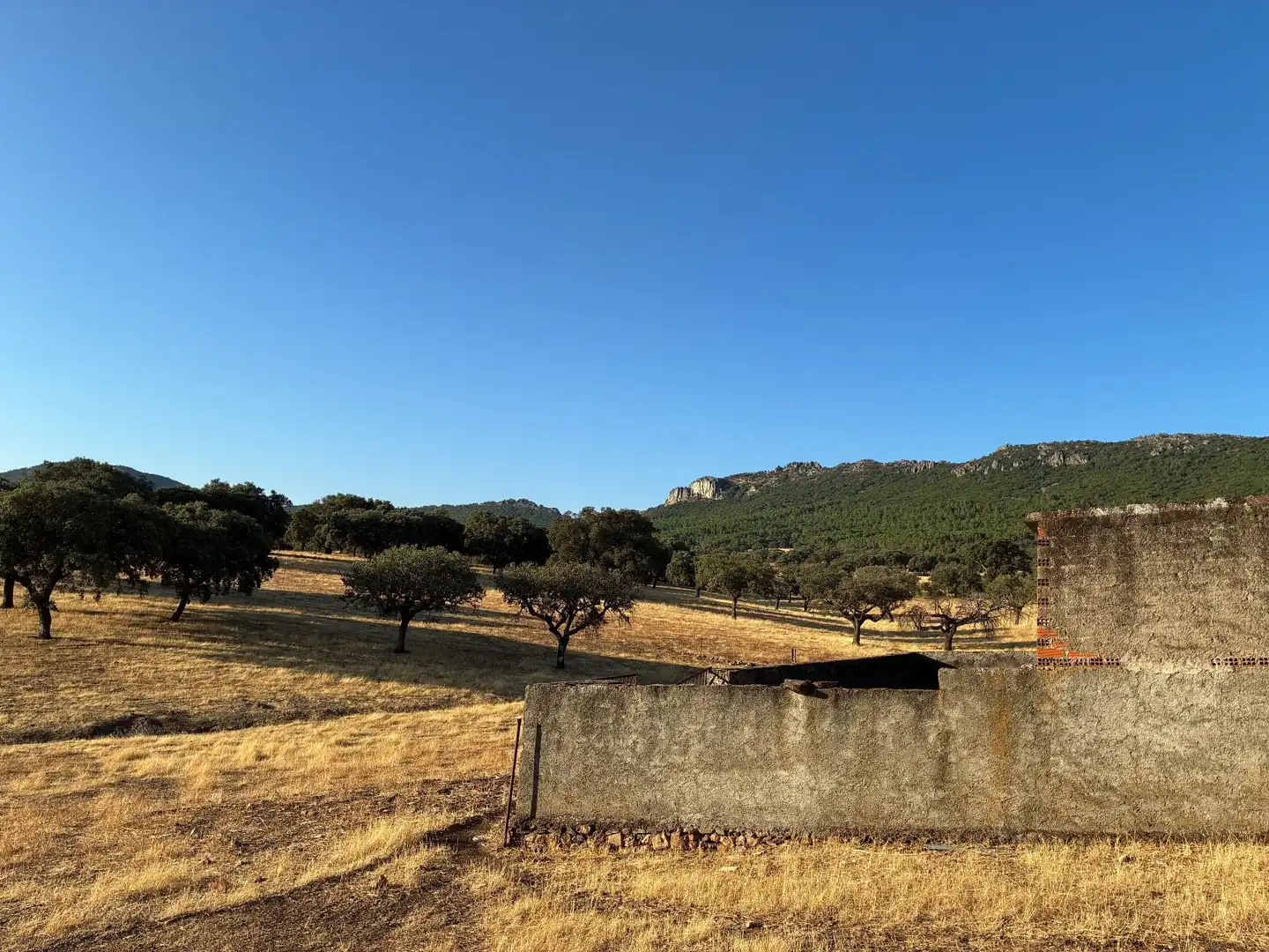 Rural land for sale in Mohedas de la Jara, imagen 4