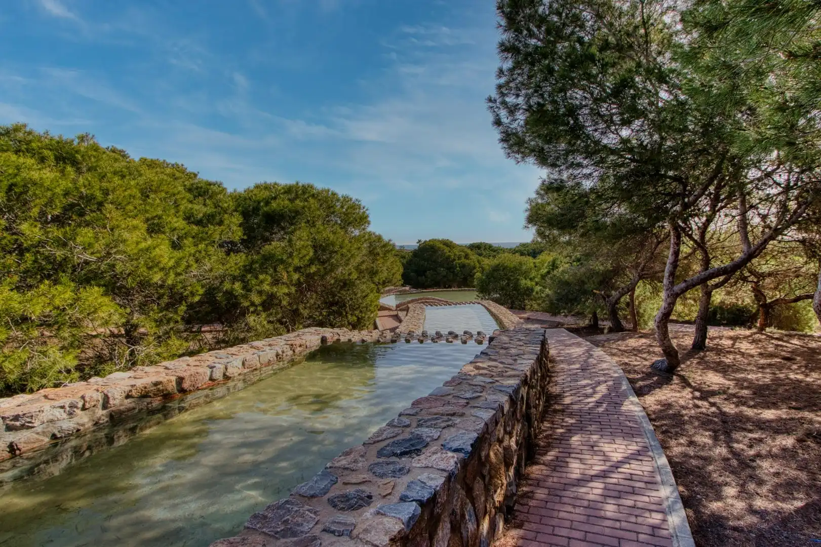 Villa avec piscine à vendre à Calle salvador de madariaga, imagen 65