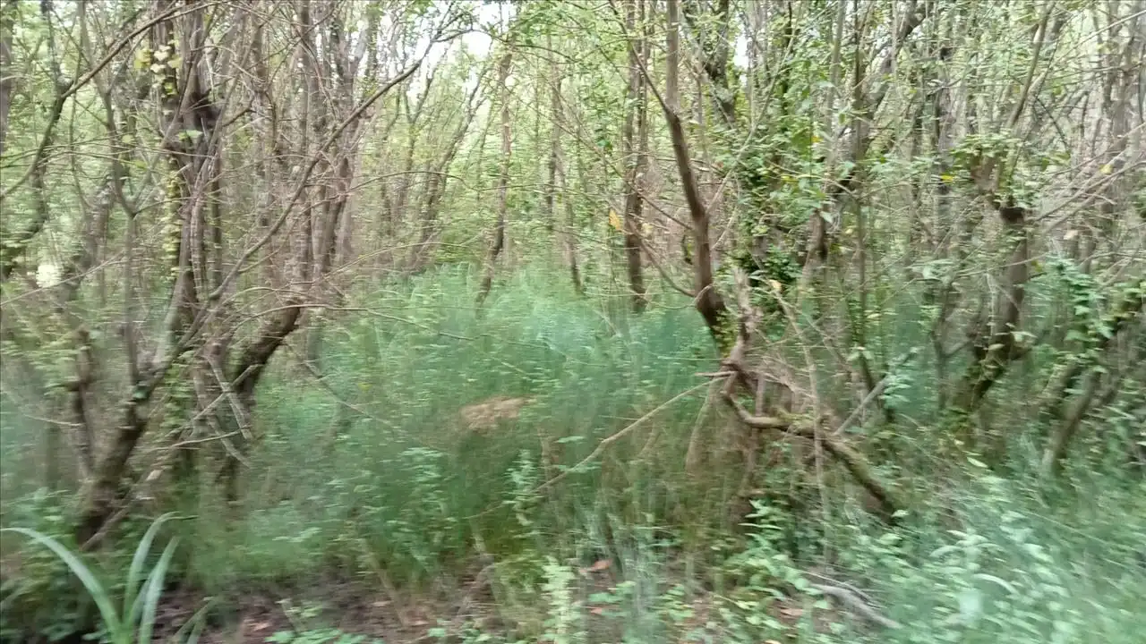 Grundstücke und Bauplätze zum Verkauf in Camposa-Beco, imagen 5