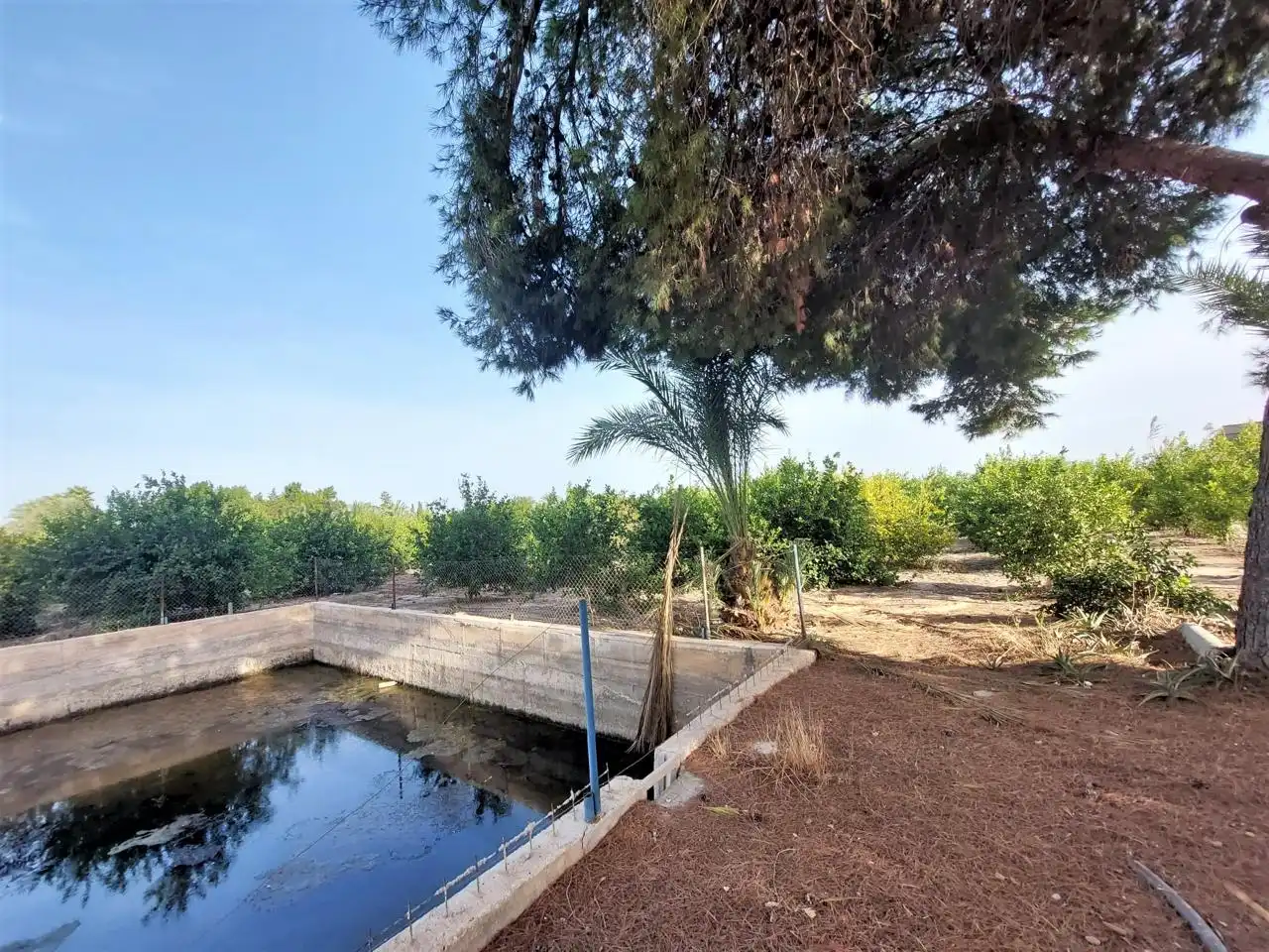 Residencial en venta en Elche / Elx