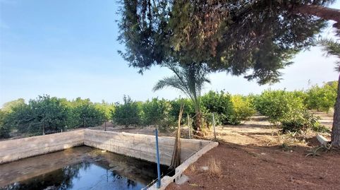 Foto 4 de Residencial en venta en Partida Daimes, La Foia - Daimés - Asprella, Elche / Elx