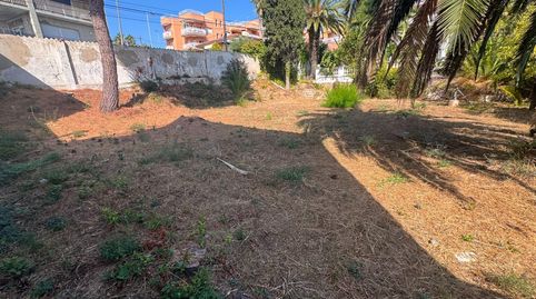 Photo 5 of Residential for sale in Centre, Blanes