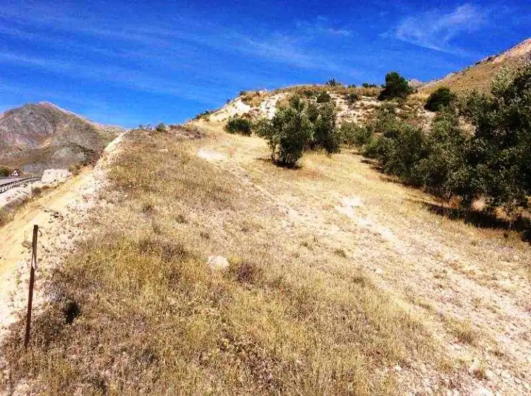 Terreni e lotti in vendita a Bedmar y Garcíez, imagen 5