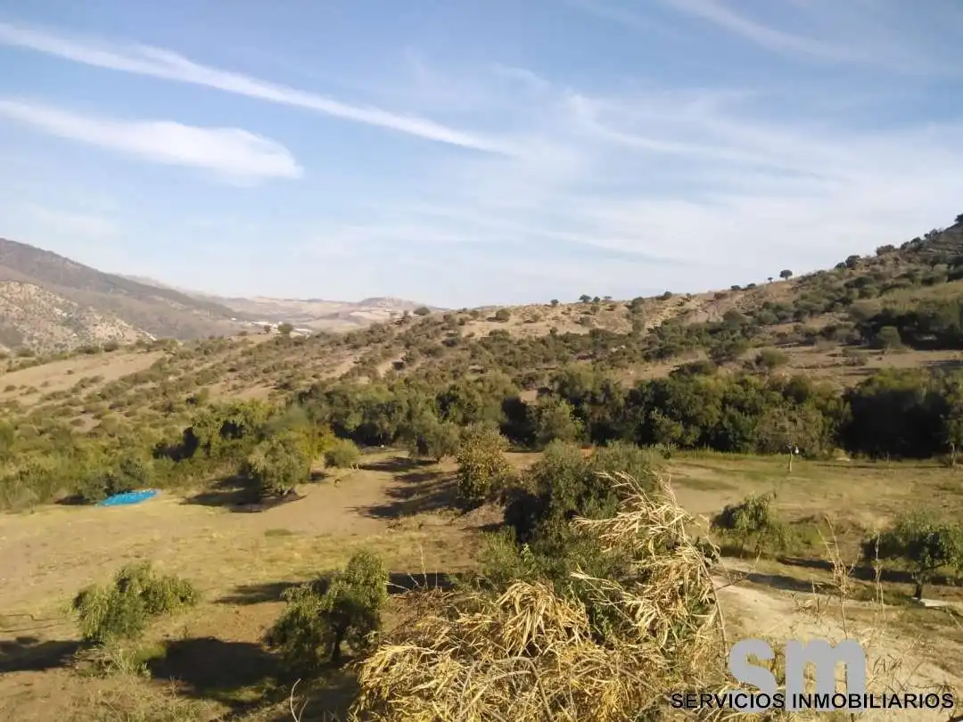 Terreno en venta en Zahara