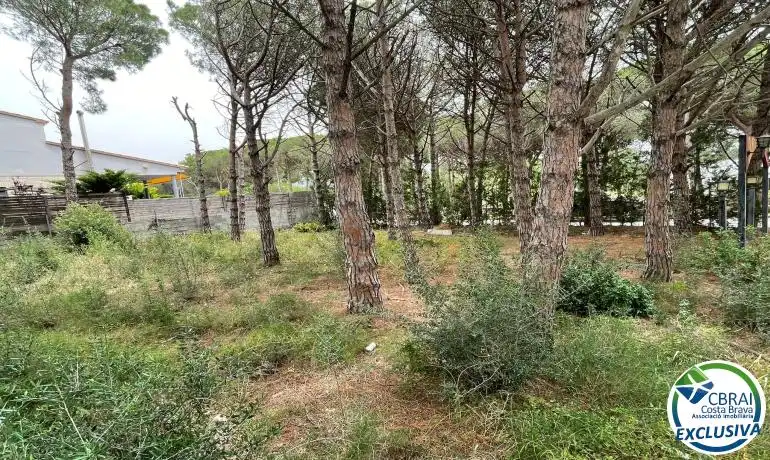 Terrenys i solars en venda a Nord, imagen 13