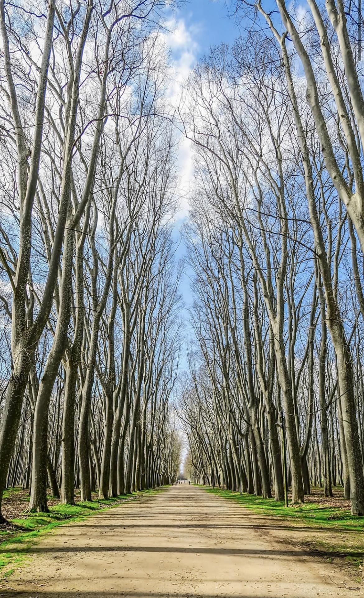 Exterior view of Flat for sale in Girona Capital  with Heating