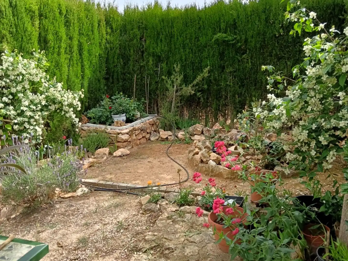 Villa con giardino in vendita a El Pinós / Pinoso, imagen 25