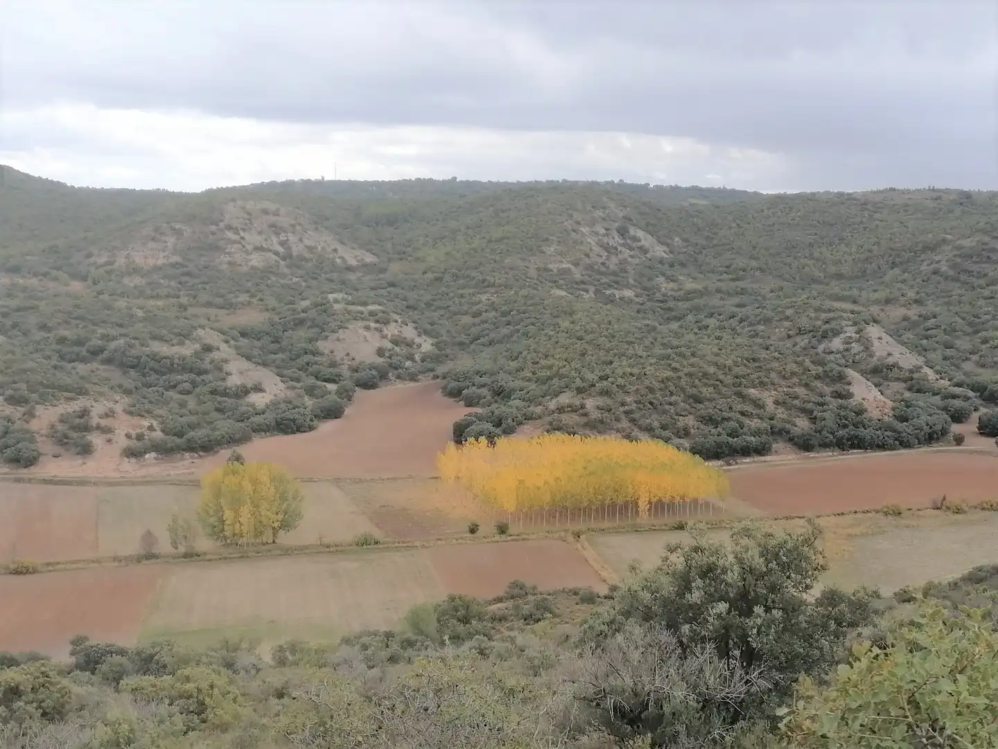Terrain rustique à vendre à Monte Cutradas, imagen 3
