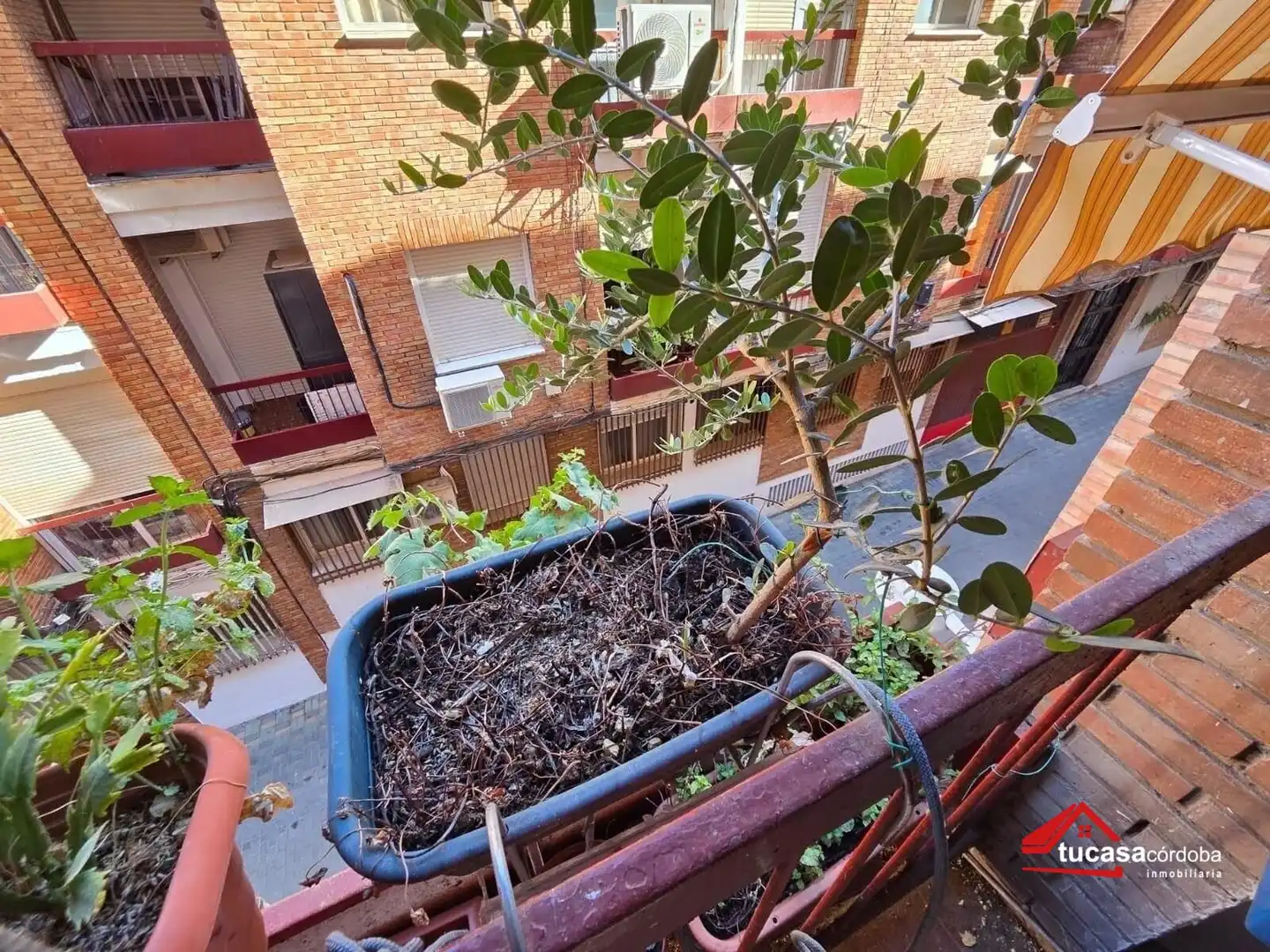Terrassa de Pis en venda en Córdoba amb Aire condicionat i Terrassa