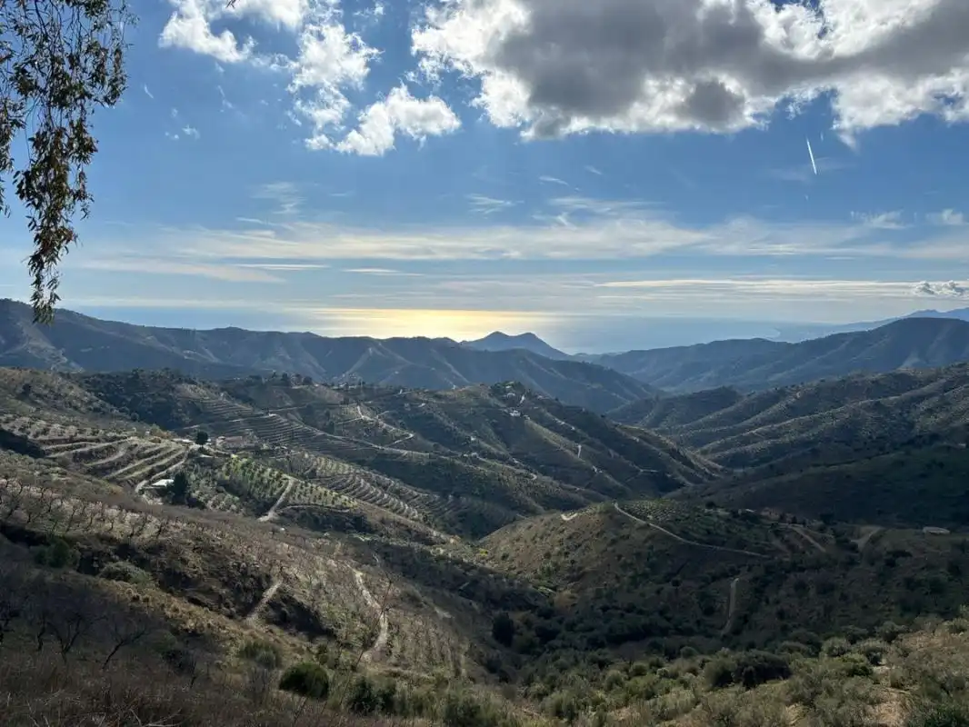 Terreni e lotti in vendita a Cam. Altos de Jaboneros, imagen 17