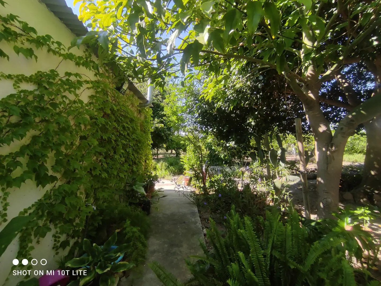 Detached house with pool for sale in La Foia - Daimés - Asprella, imagen 35