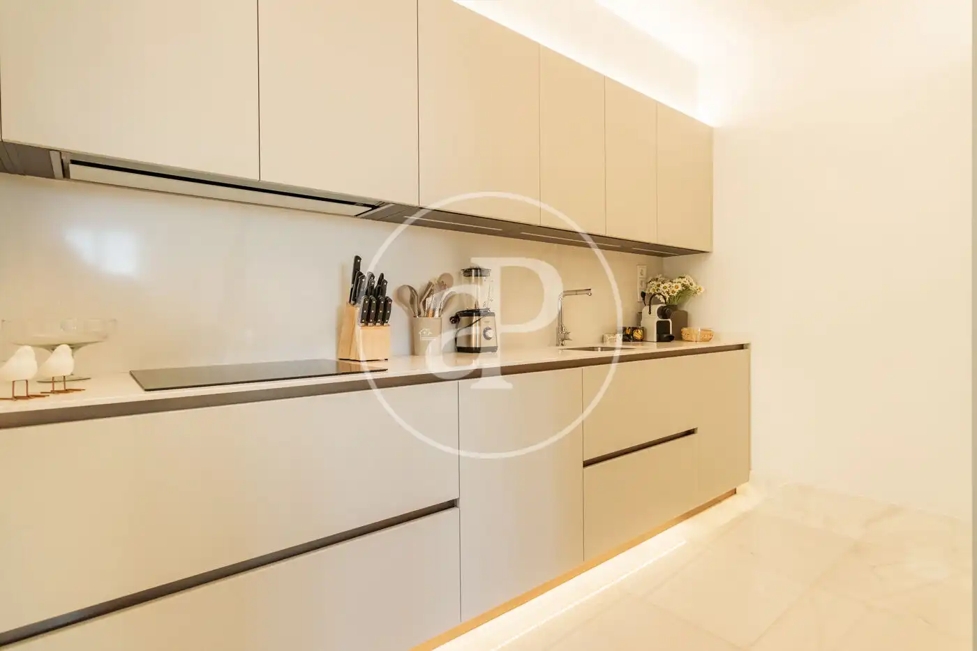 Kitchen of Flat for rent in Madrid  with Air Conditioner, Heating and Furnished