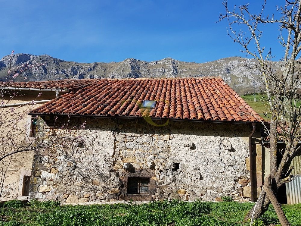 Premises for sale in Peñamellera Alta