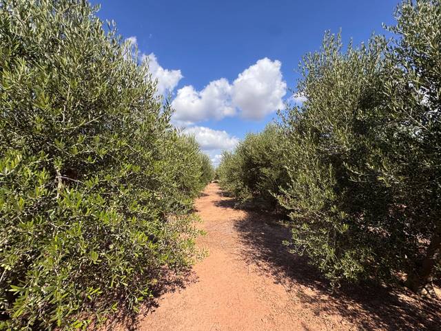 Terreno en Venta en Gausa en Playas de Puçol