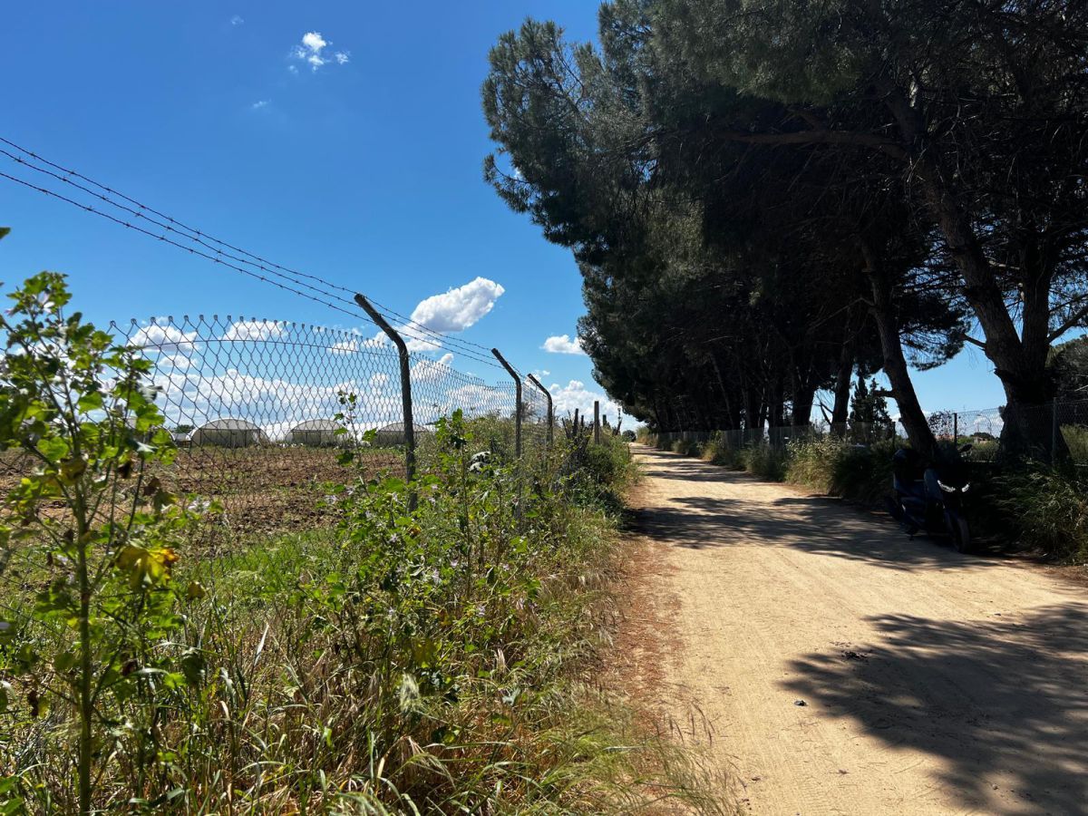 Außenansicht von Country house zum verkauf in Los Palacios y Villafranca