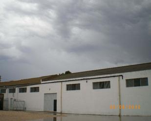 Exterior view of Industrial buildings for sale in Villena