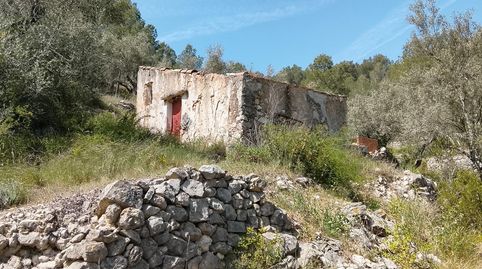 Foto 2 de Finca rústica en venta en Camí de la Finca del Governador, Urbanitzacions, Tortosa