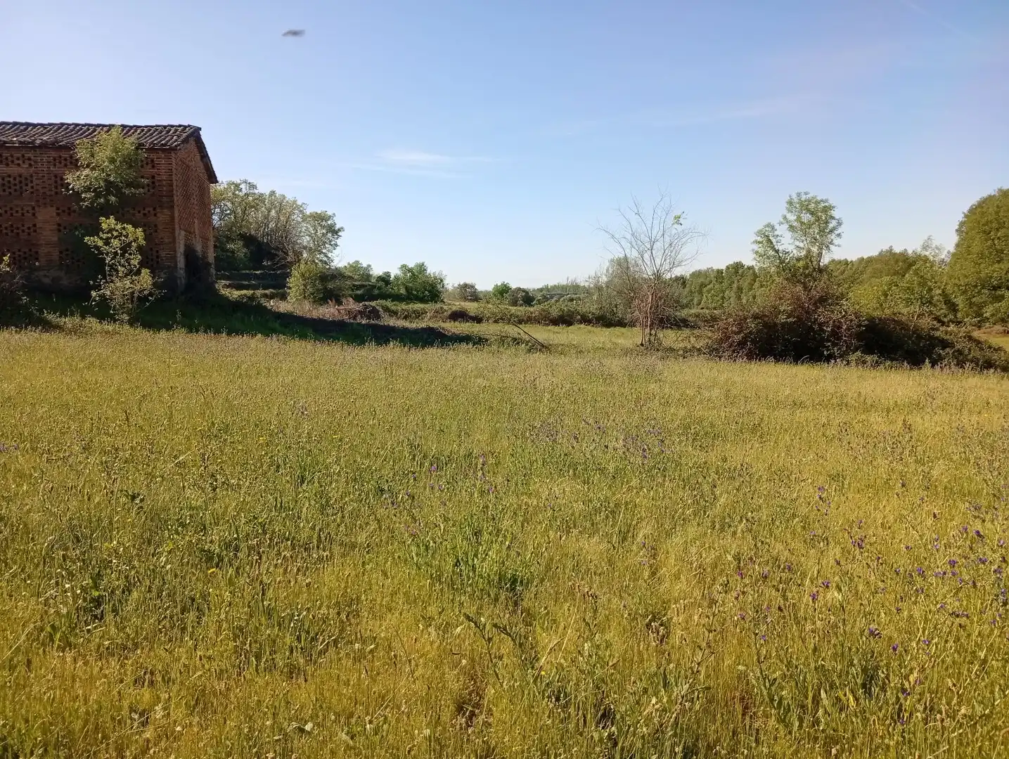 Terreni e lotti in vendita a Talaveruela de la Vera, imagen 66