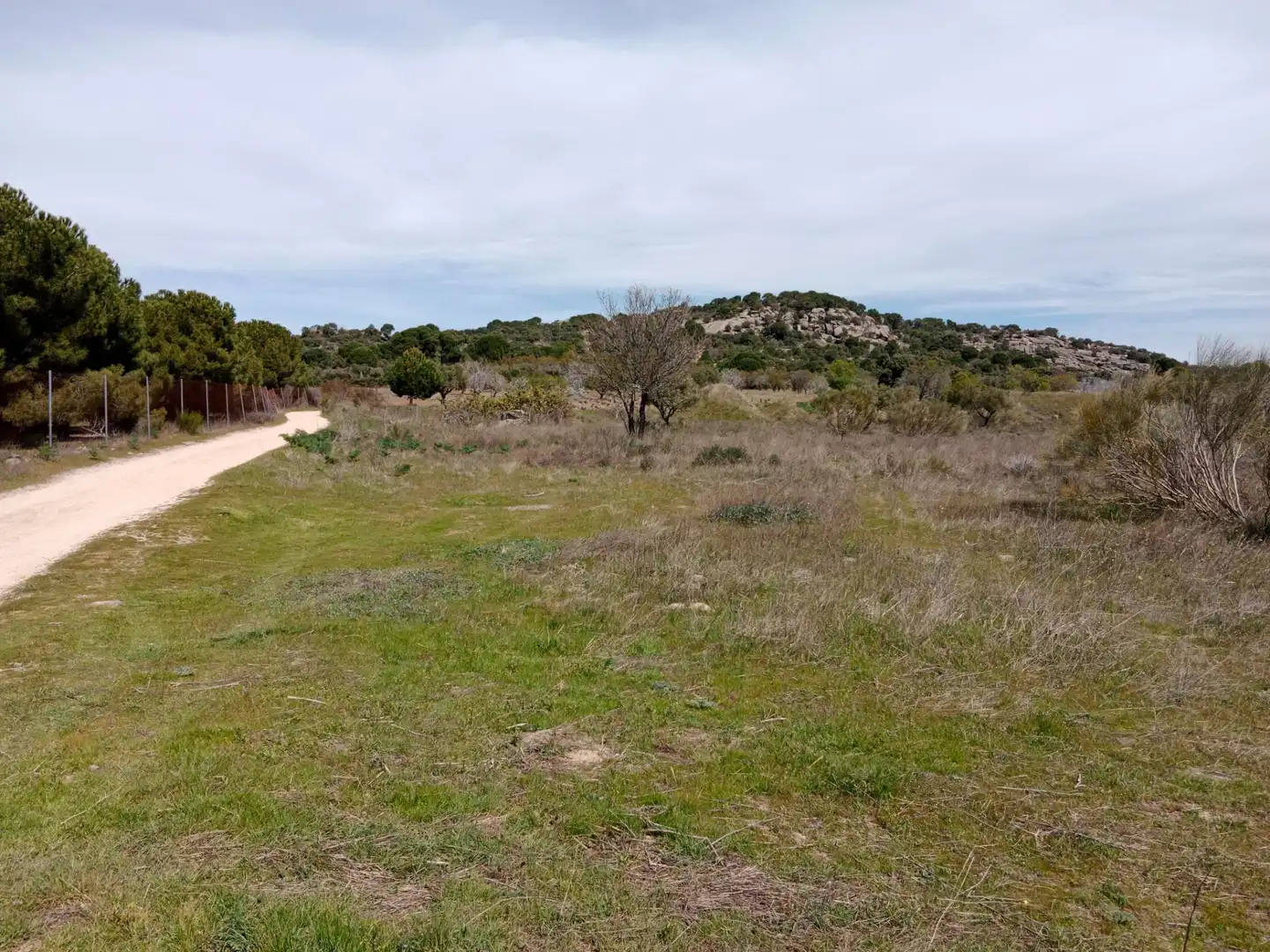 Terreno rustico in vendita a Camino Barzales