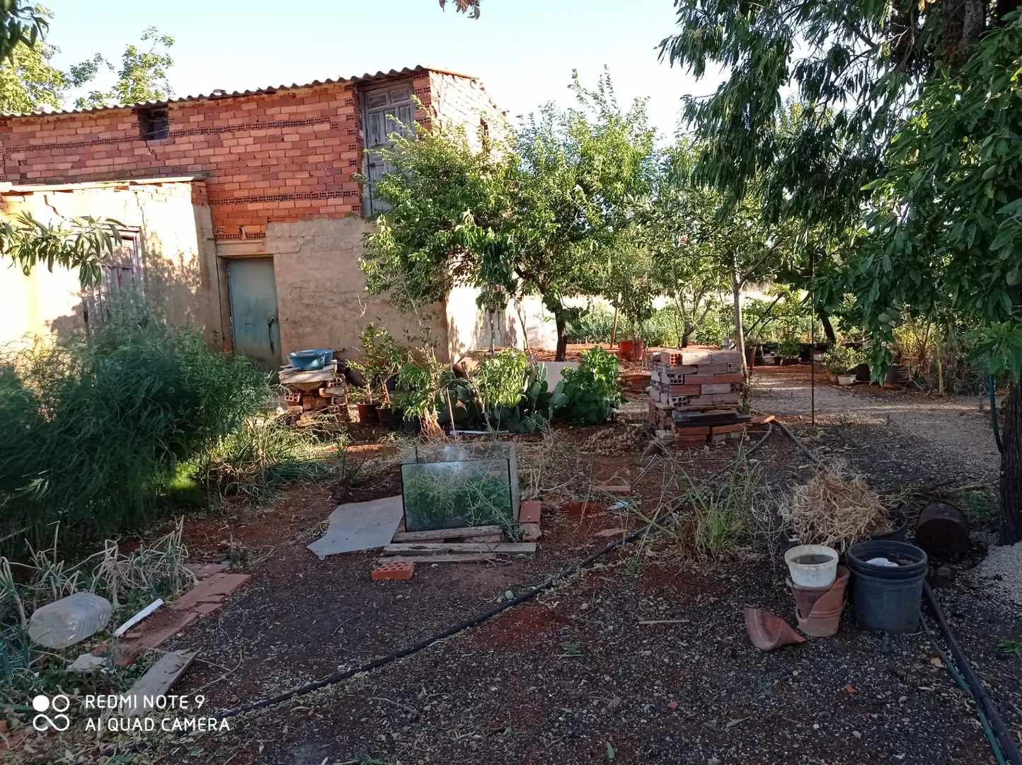 Jardín de Terreno en venta en Ciudad Real