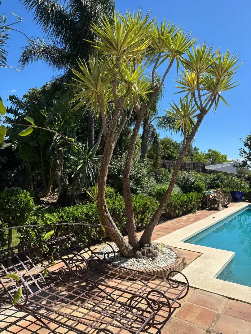 Casa rústica amb piscina en venda a Barbate ciudad, imagen 70