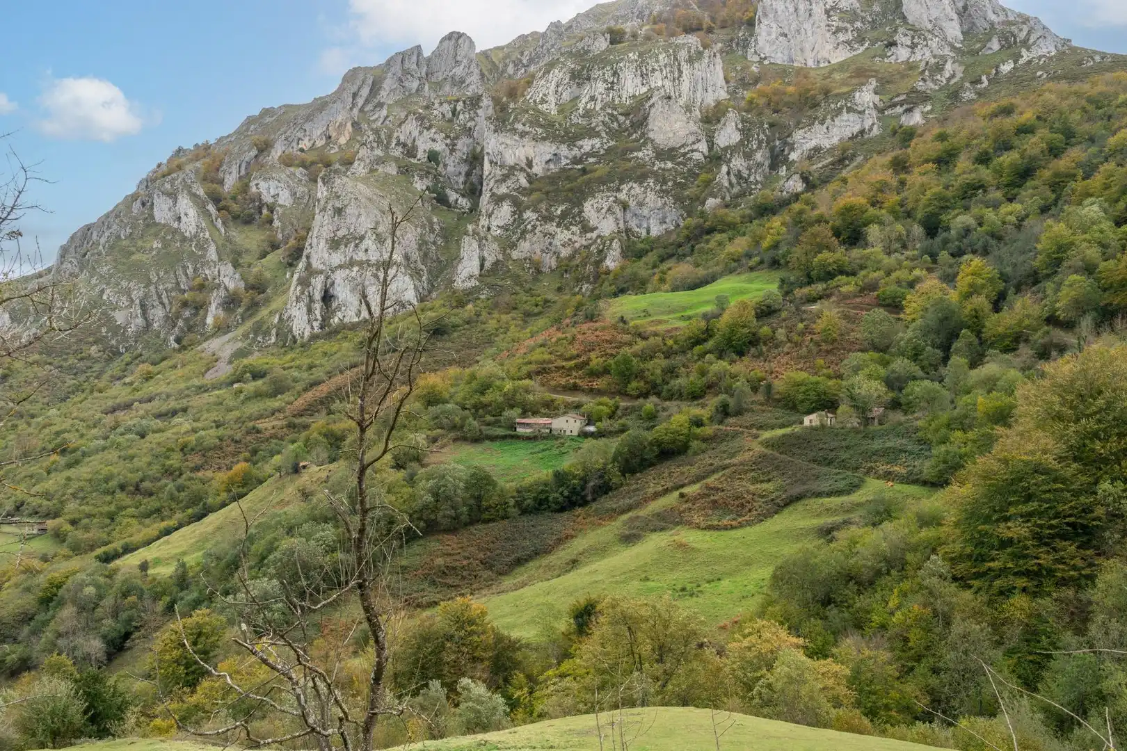 Außenansicht von Grundstücke zum Verkauf in Laviana