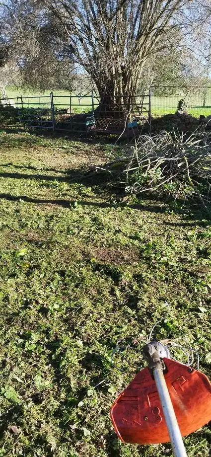Lands and plots for sale in Aldea la Cangueta, imagen 26