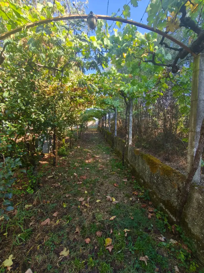 Chalet con terraza en venta en Coles, imagen 44