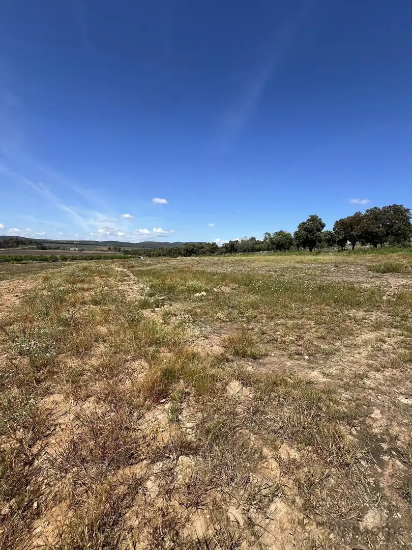 Finca rústica en venta en Santa Amalia