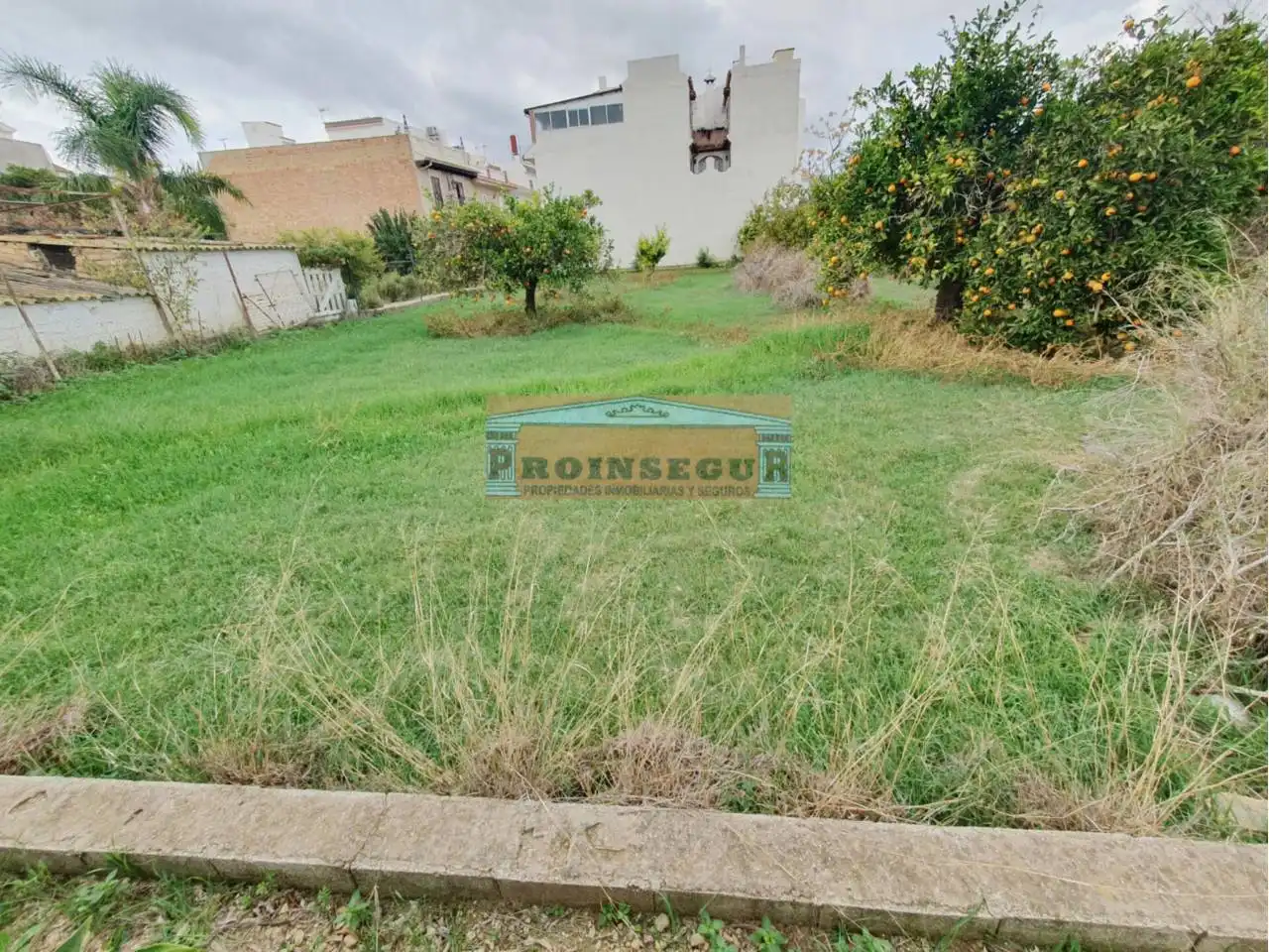 Terreno rustico in vendita a Centro