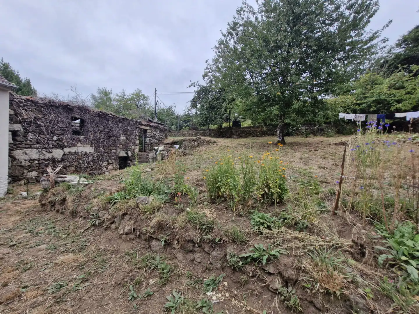 Casa o xalet en venda en Gomesende amb Jardí privat, Terrassa i Balcó