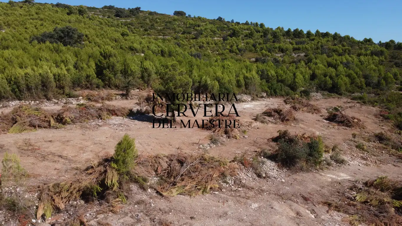 Terreno rustico in vendita a Cervera del Maestre, imagen 4