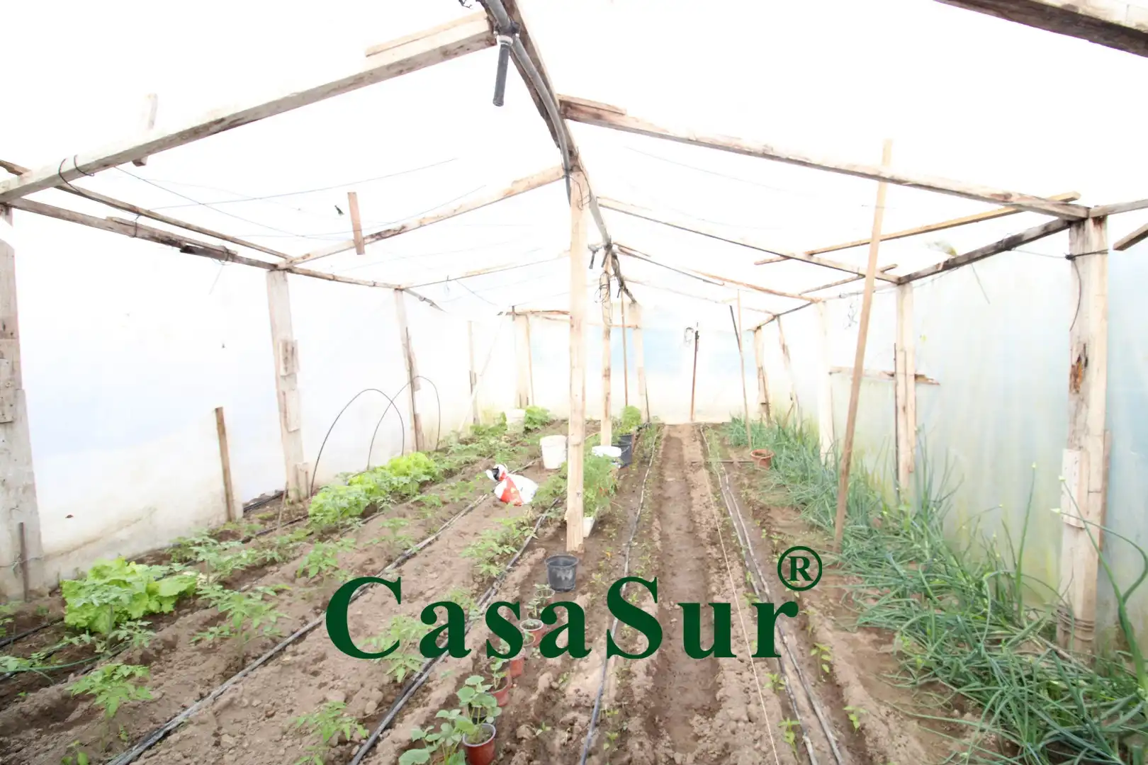 Jardín de Casa o chalet en venta en Traspinedo con Calefacción, Jardín privado y Terraza