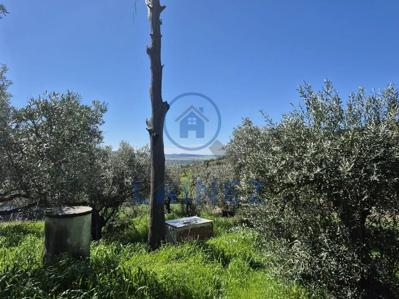 Grundstücke zum Verkauf in Peñarroya-Pueblonuevo