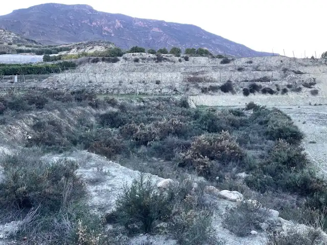 Terreno rústico en venta en Calle Taha de Marchena 13, imagen 9